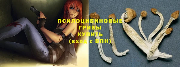 мескалин Няндома