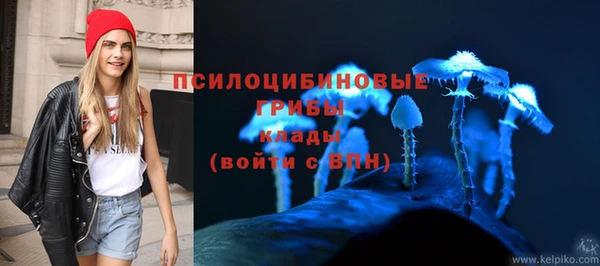 мескалин Няндома