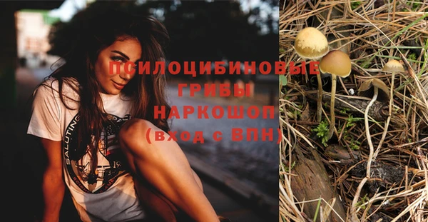мескалин Няндома