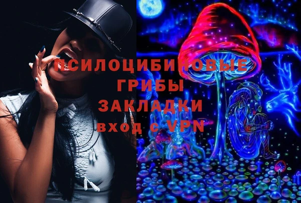 мескалин Няндома