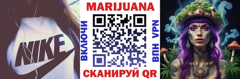 Бошки марихуана THC 21% как найти закладки kraken зеркало Купино
